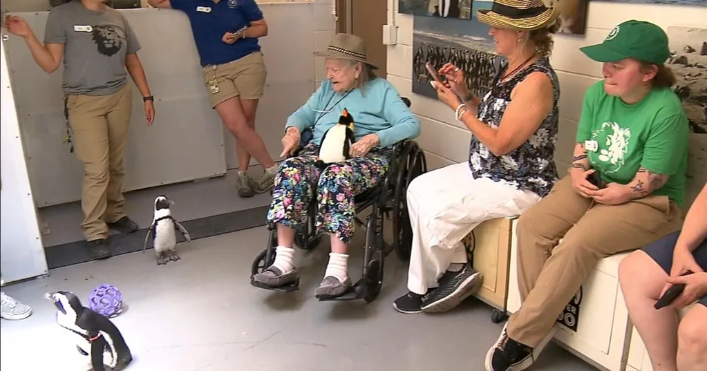 Coloradan whose inclusion on Antartica research trip was denied 70 years ago, because she's a woman, gets another chance to meet penguins