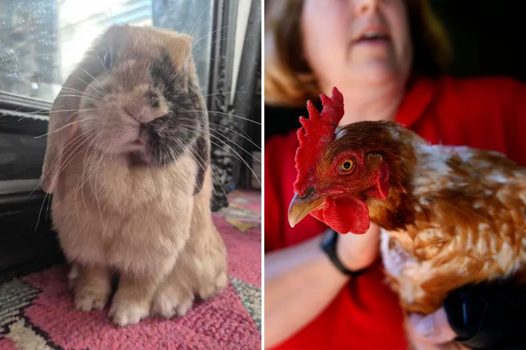 Urgent warning issued over popular Easter trend: 'Reality hits home, millions die'