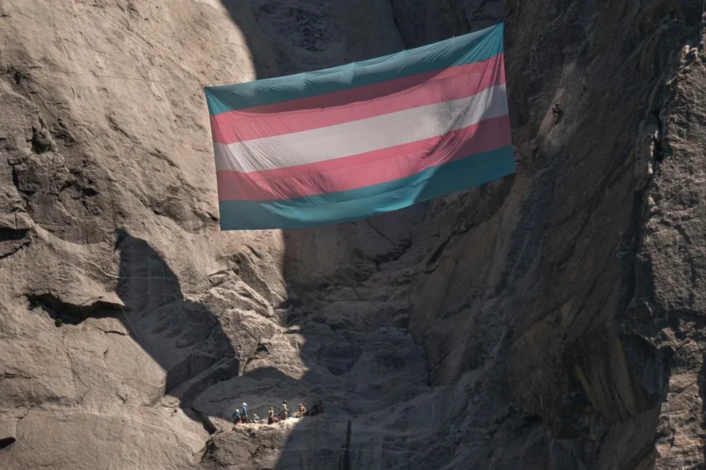 Nonbinary bat biologist fired for hanging trans flag above Yosemite...