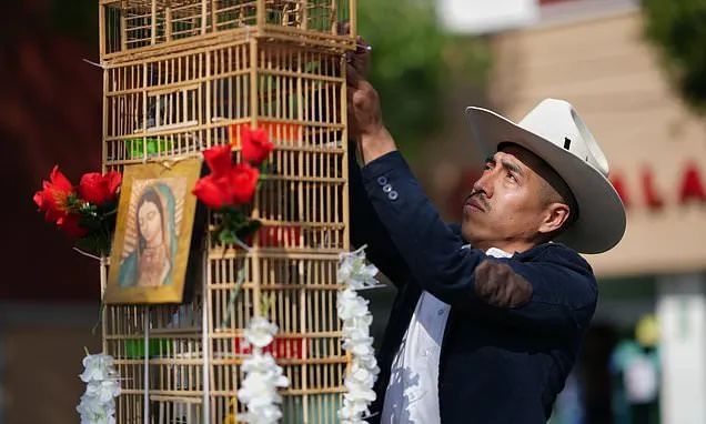 These men carry towers of birds through Mexico's streets. They say...