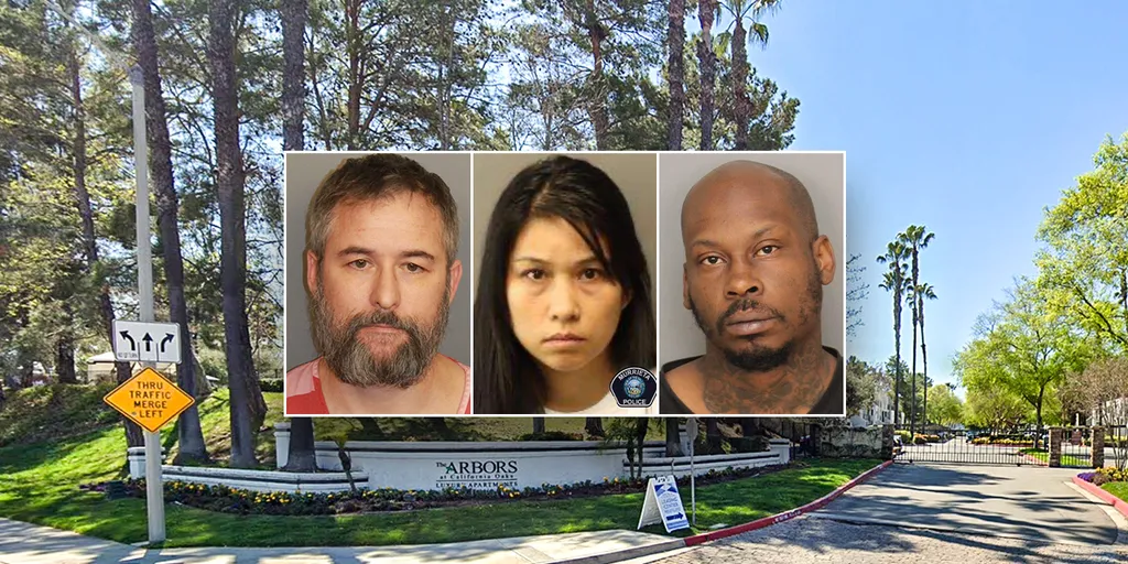 Ex-girlfriend, 3 others nabbed in killing tied to alleged murder-for-hire plot in 'unusual' case: police