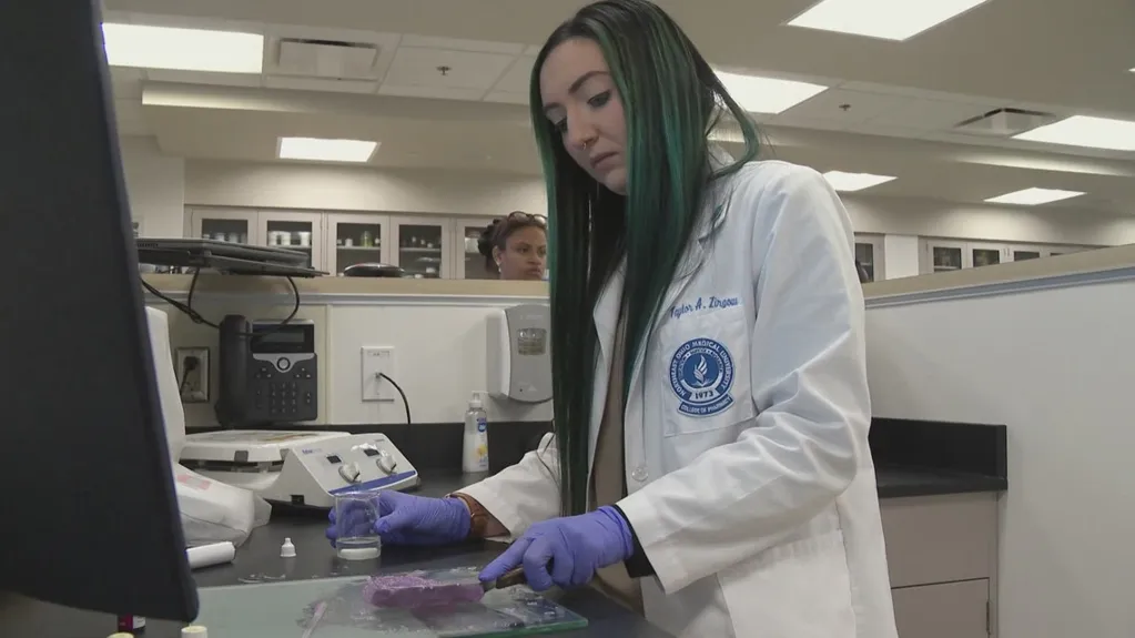 Tomorrow's pharmacist: The future of the profession is changing