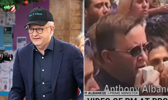 Albanese's Christmas Day interview escalates after Palestine questions
