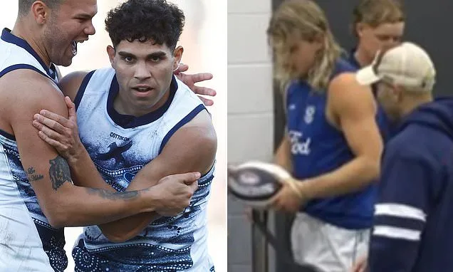 Stengle returns to Geelong amid extortion fears and struggles