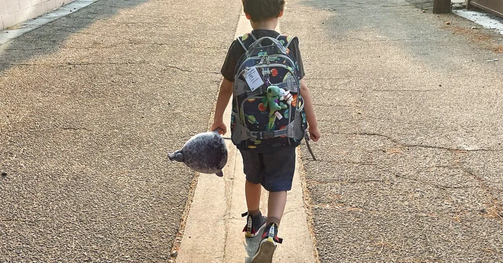 This Is the Story of a Backpack and the Little Boy Who Loved It for Nine Years