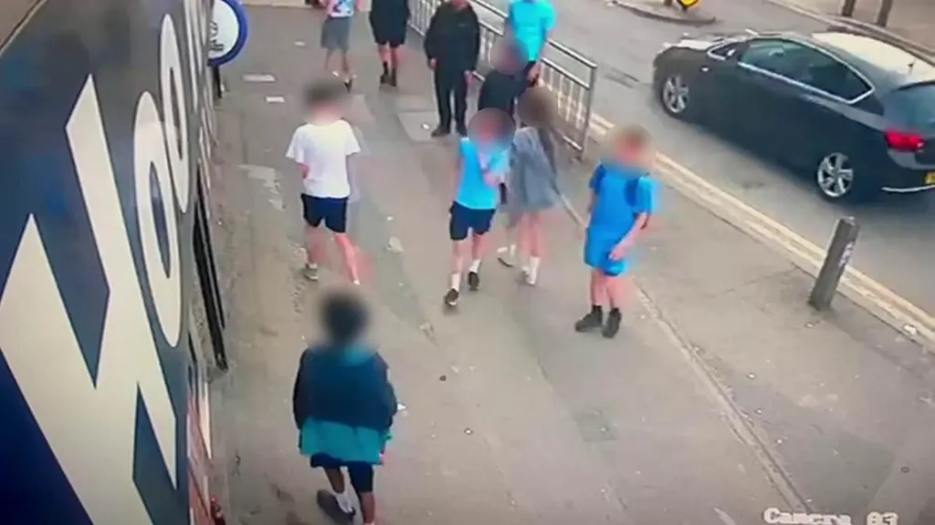 Boy, 11, is arrested after 'liquid is sprayed over people' in village