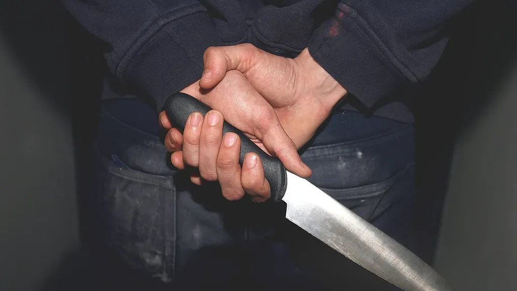 Police want knife licences to stop children trading blades online
