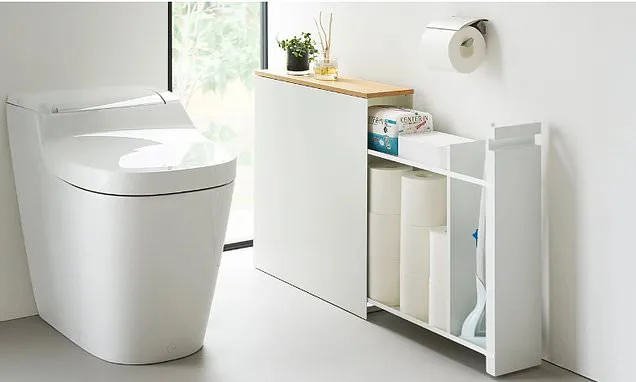 The Japanese home brand making organizing cool