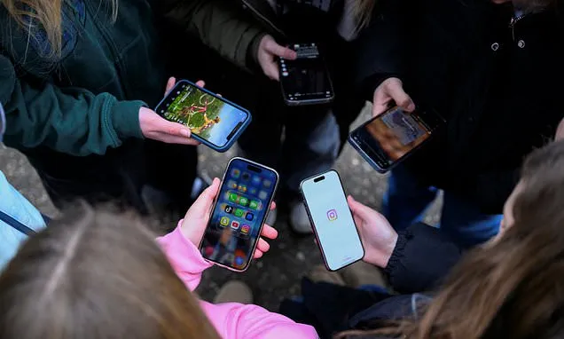 All social media users including adults could be forced to prove age