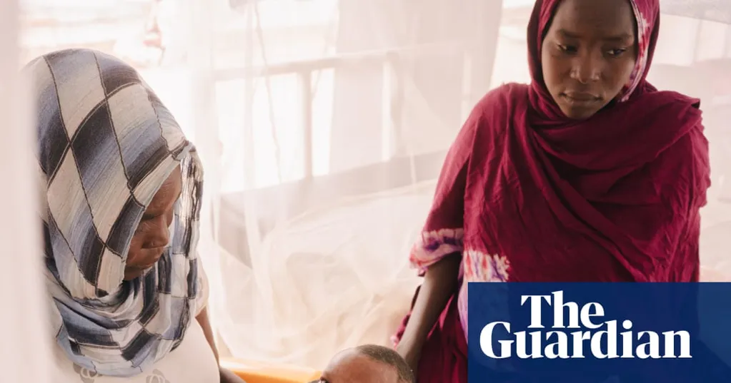 'I have searched and searched for help': the Sudanese women left alone to live hand to mouth in Chad's desert camps