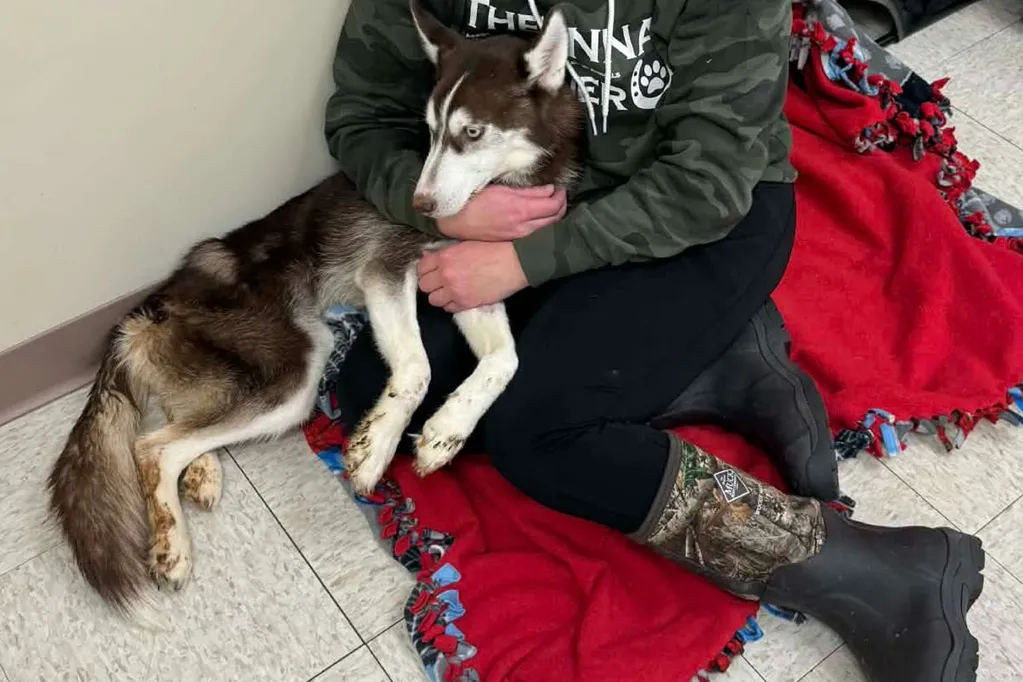 Police Find Frostbitten, Filthy Puppy in a Crate And Think the Dog Is 'Already Deceased' -- But She 'Isn't Giving Up'