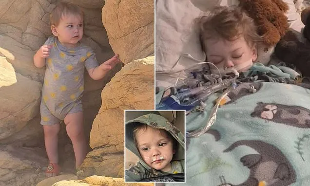 Adorable Colorado toddler aged just 1 will die on FRIDAY, family says