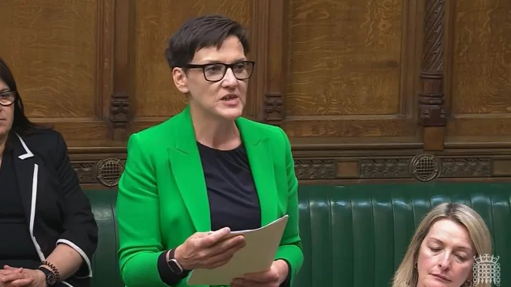 Campaigners fight on to stop 'disastrous' abortion decriminalisation