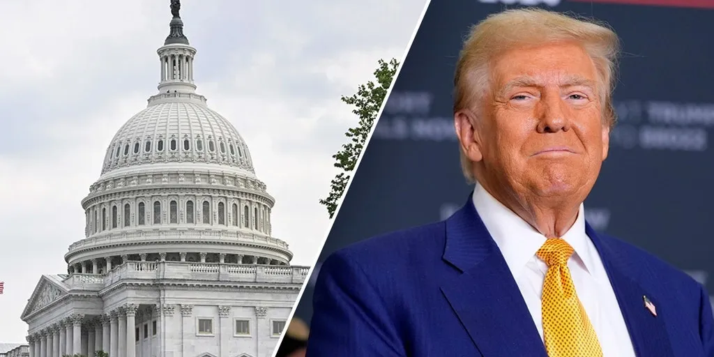 Trump's conservative allies warn Congress faces critical 'test' with $9.4B spending cut proposal