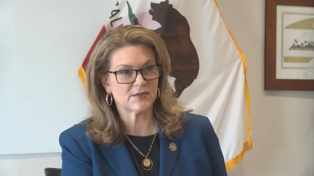 Fresno County DA calls for reform for mental health diversion, supports new assembly bill