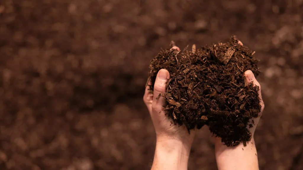 Life after death? A wave of states move to legalize human composting.
