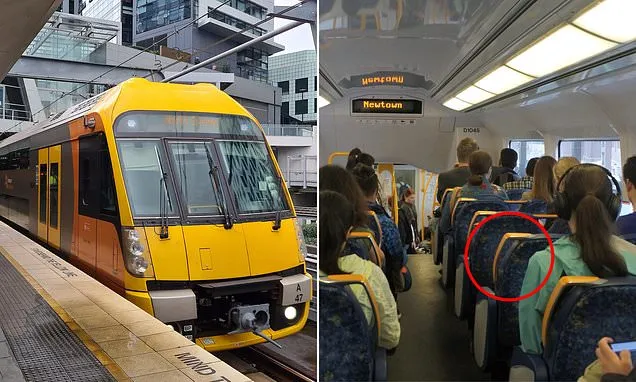 Commuter's fury over annoying act on Sydney trains and everyone agrees