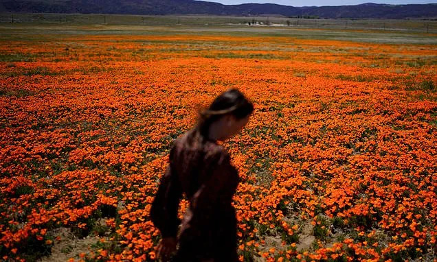 Welcome to allergy season. Here's how to protect yourself