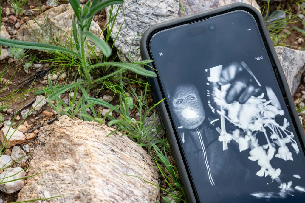 Nancy Guthrie update: New clue on who's behind disappearance