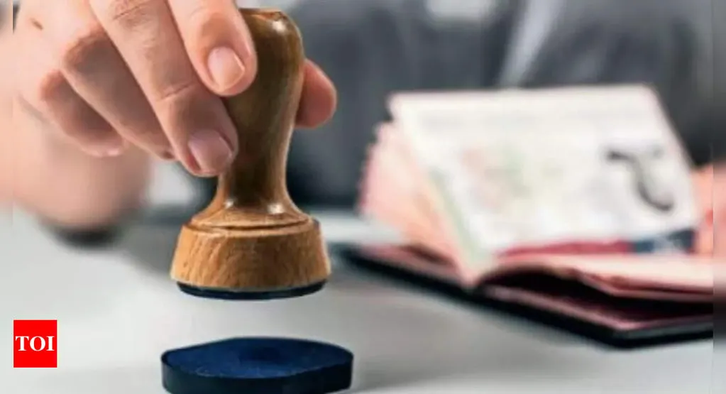 'Made over Rs 100 crore, used Telegram': How Delhi Police busted 'visa factory' in Tilak Nagar - Times of India