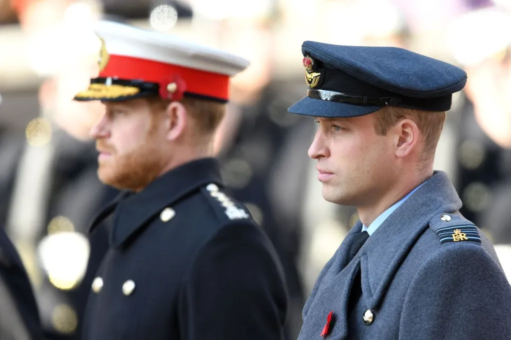 Prince Harry and William's rift driven by feud over military -- book
