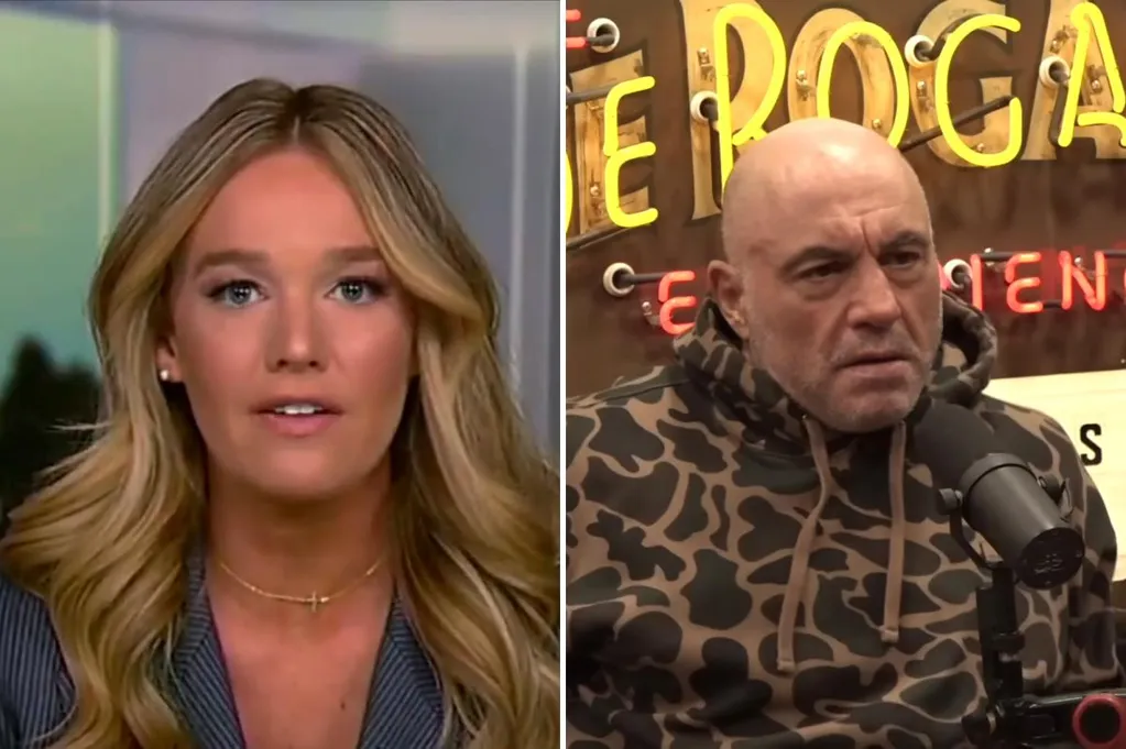 DHS fires back after Joe Rogan said he understands 'point of view' of...