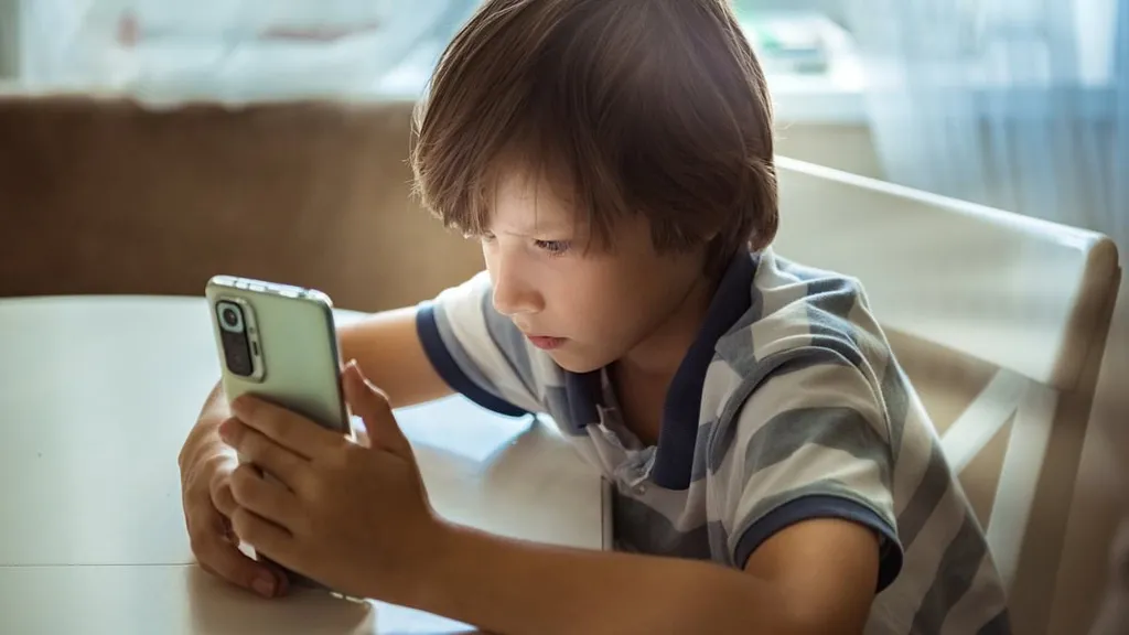 Insiders reveal the real agenda of Labor's under-16s social media ban