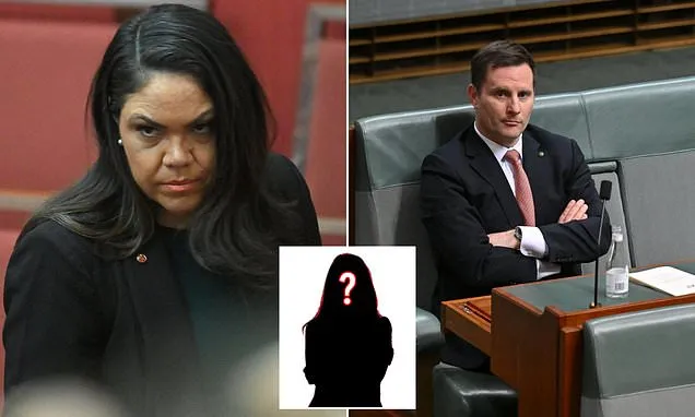 'Unnamed'' female Liberal 'reeling' after being dragged into spat