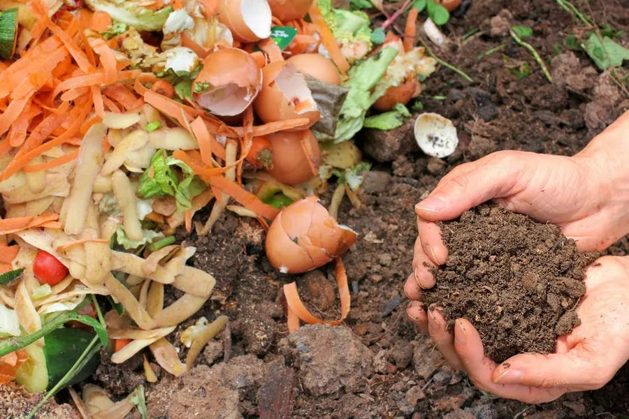 Leading The Way On Curbside Composting: What It Takes To Succeed