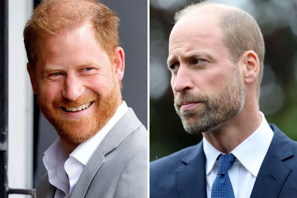 Prince William's swipe at press practices hints at Harry's book