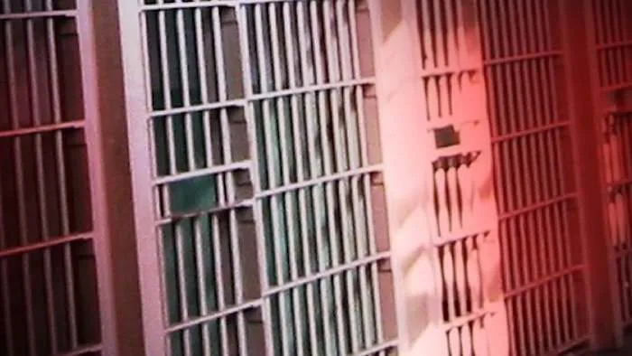 'Sexual deviant:' Orlando nightclub owner enters plea deal  in child sex crimes case