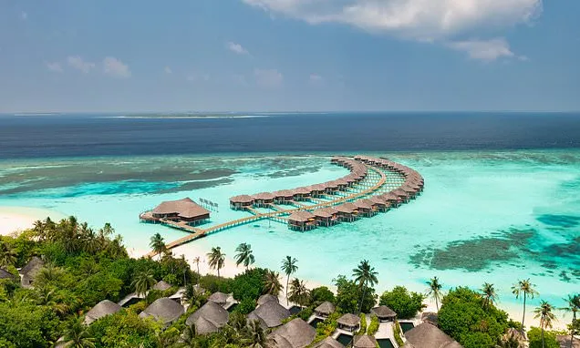 Newlywed fighting for life and has leg amputated during holiday