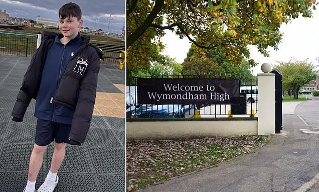 Coroner due to rule on schoolboy taunted by pupils about his sexuality