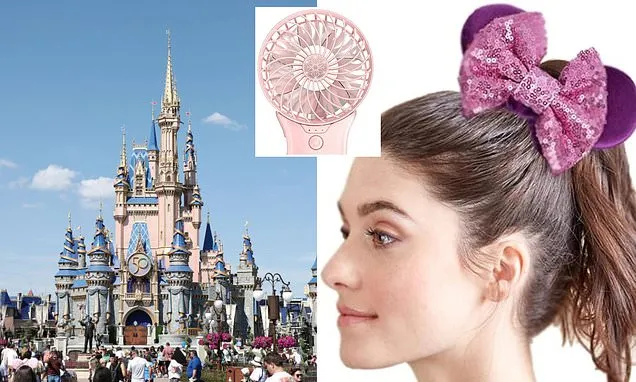I'm a Disney annual pass holder, these are the products everyone needs