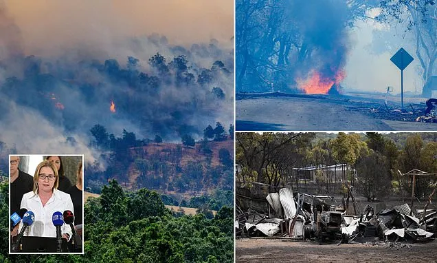 Despicable act is slammed as bushfires decimate Victoria