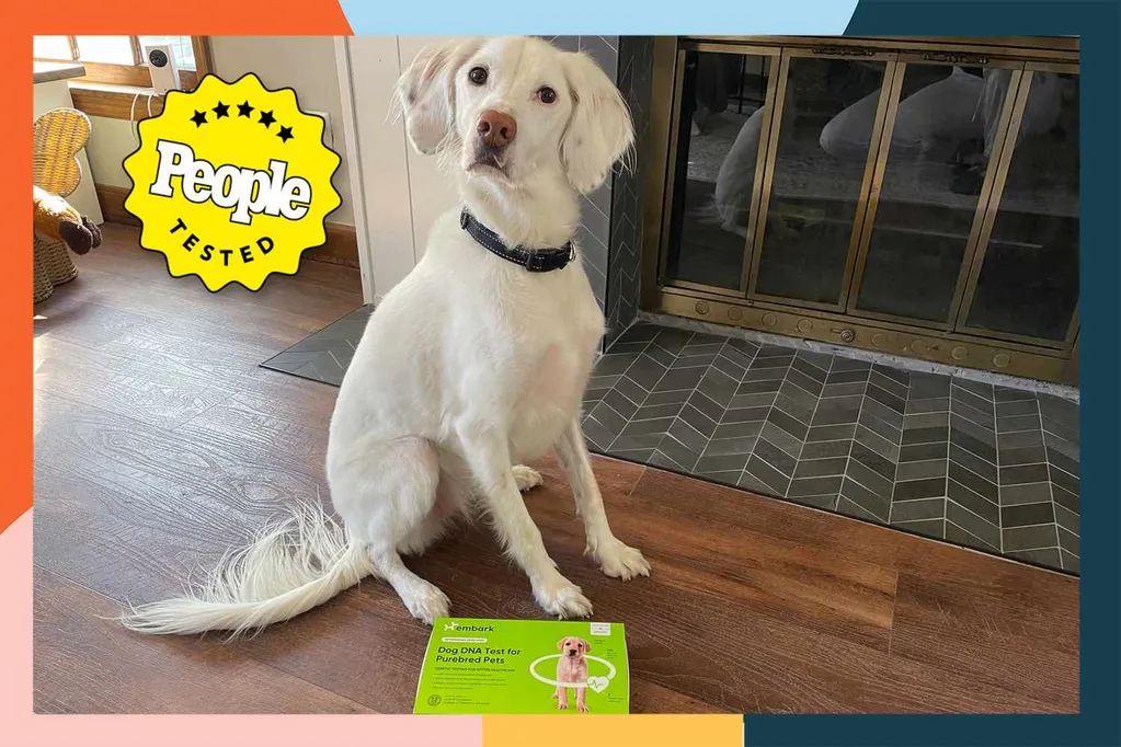 We Swabbed Our Dogs for Science -- Turns Out There Are Only 2 Dog DNA Kit Brands Worth Buying
