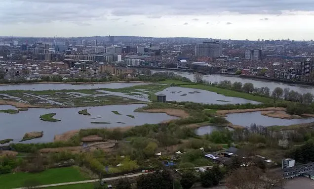 Natural England boss to call for new approach to nature as economic...