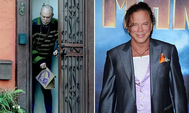Mickey Rourke trying to return $100K raised for him