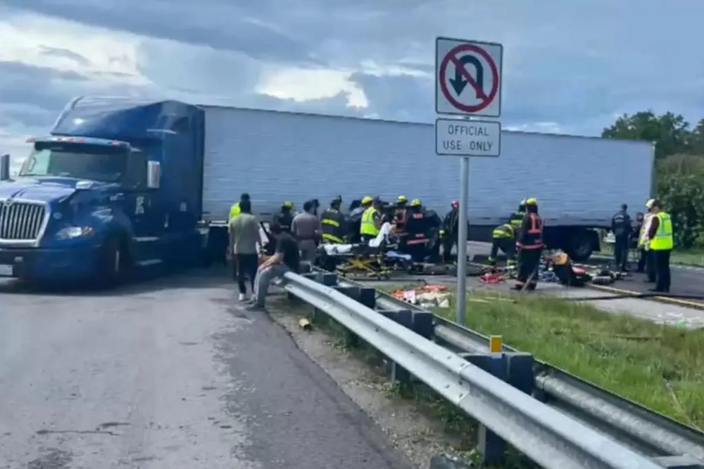 Driver's license given to deadly illegal migrant trucker shows how...