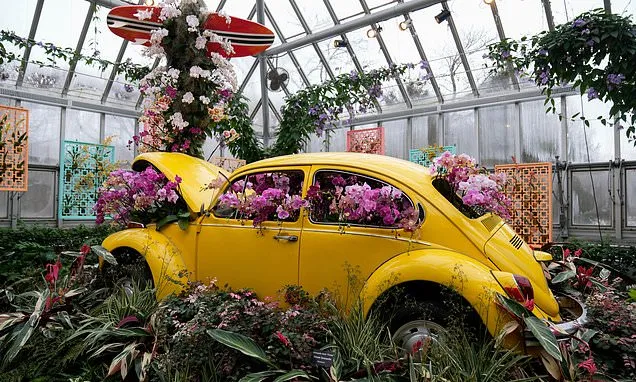 Photos of retro '70s-themed orchids show in Chicago