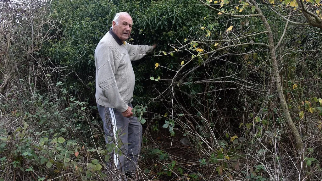 Council ridiculed for public byway which leads to thicket then cliff