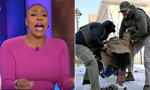 MS NOW star screams at top of her voice live on-air while blasting ICE