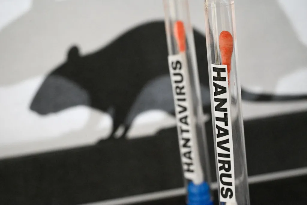 Hantavirus arrives as health officials sound alarm on Trump admin readiness