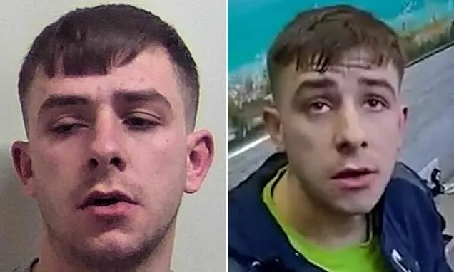 Thief is caught when police spot him in chip shop after 100mph chase