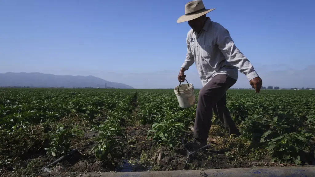 New bill offers green card pathway for immigrant workers