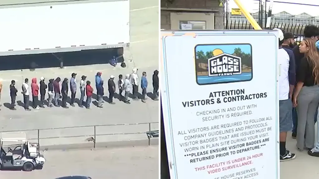 Over 300 arrested in immigration raids at cannabis farms near Camarillo and Carpinteria, DHS says