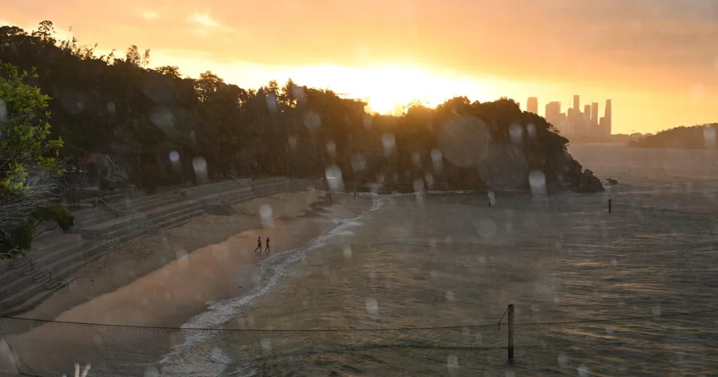 Shark attacks boy swimming in Sydney Harbor, leaving him in critical condition