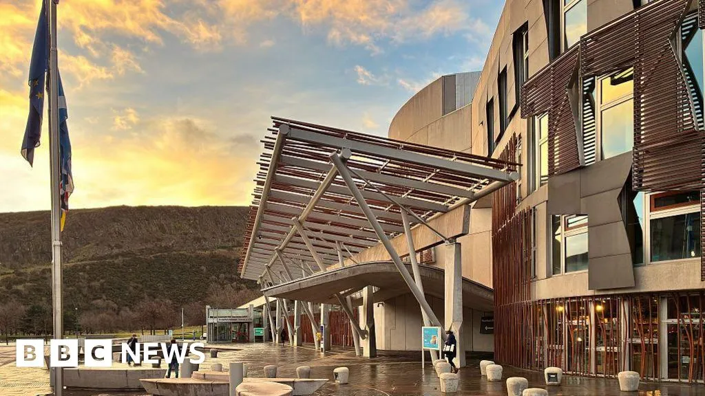 Security passes, buddies, and who gets the best office - what awaits the newbies at Holyrood?