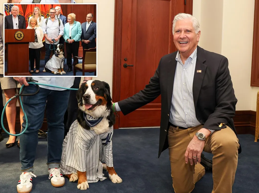 Blakeman signs law to limit dog tethering -- and bad pet owners could face jail