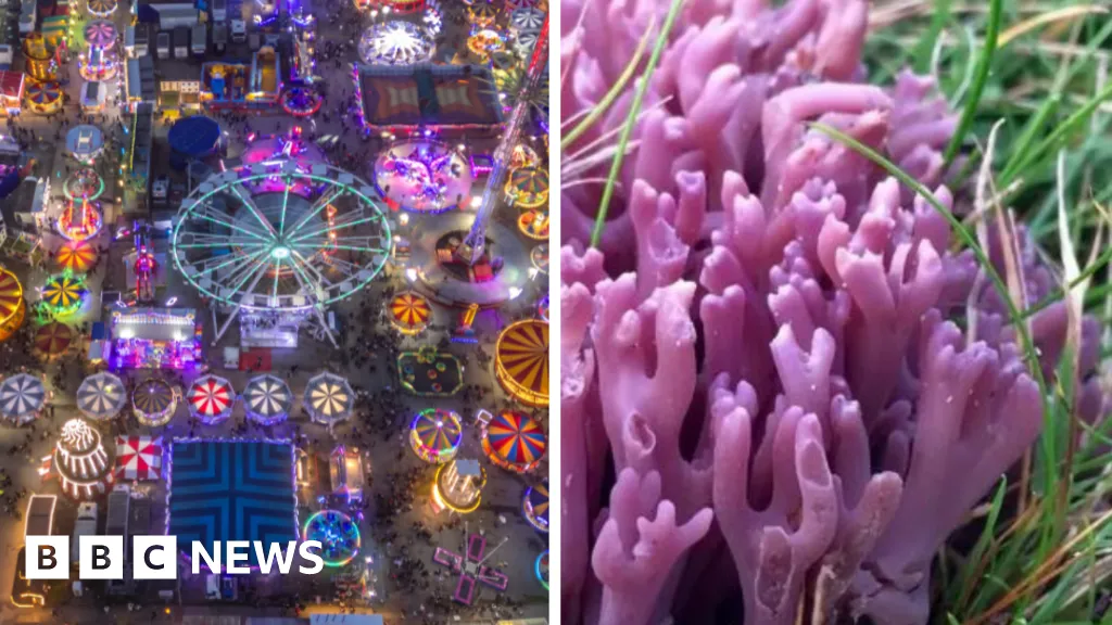 Yorkshire positive news stories to make you smile: 12 October 2025